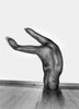 Hester<br>by Asger Carlsen <br> SOLD OUT